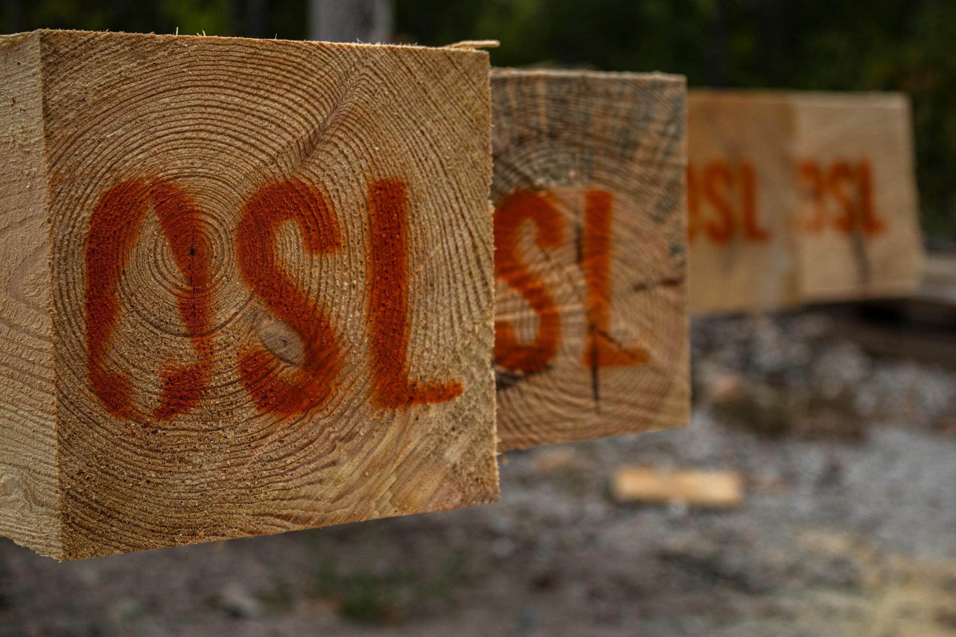 OSL-stamped timber beams